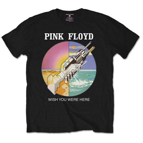 Pink floyd shirt - wish, you