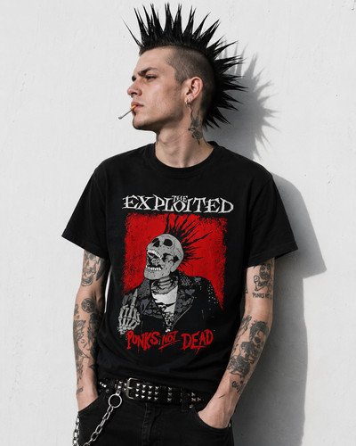 The exploited punks - exploited,